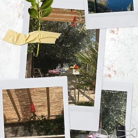 公寓 Garden